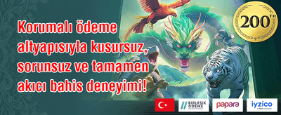 Popüler Slotlarda Bedava Spin promotion